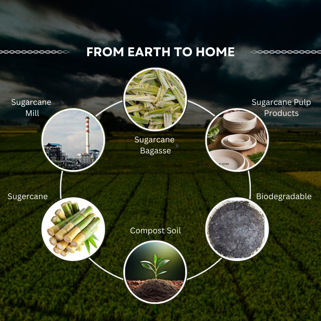 Home/Blog/sugarcane-bagasse-life-cycle..png