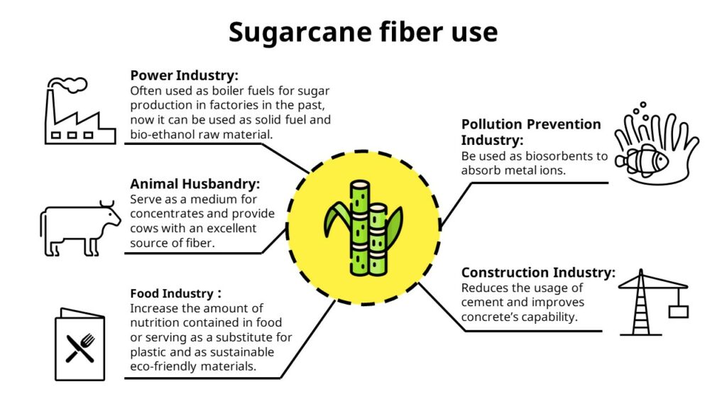 Home/Blog/sugarcane-fiber-use.jpeg