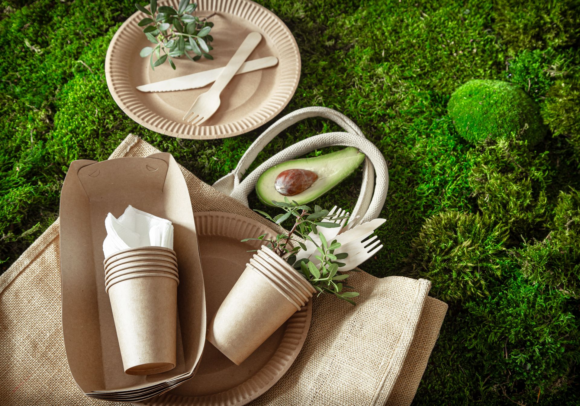 Home/Blog/biodegradable-tableware.jpeg