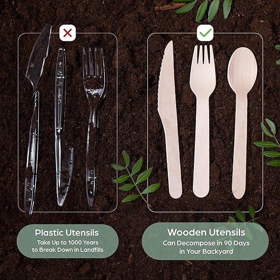 Home/Blog/plastic-vs-wooden-cutlery.jpeg